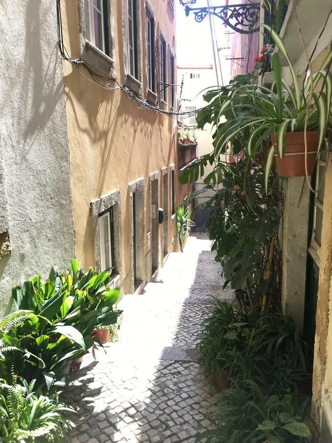 Casa Da Saudade, A Cozy Apartment In Alfama Lisboa 0*,